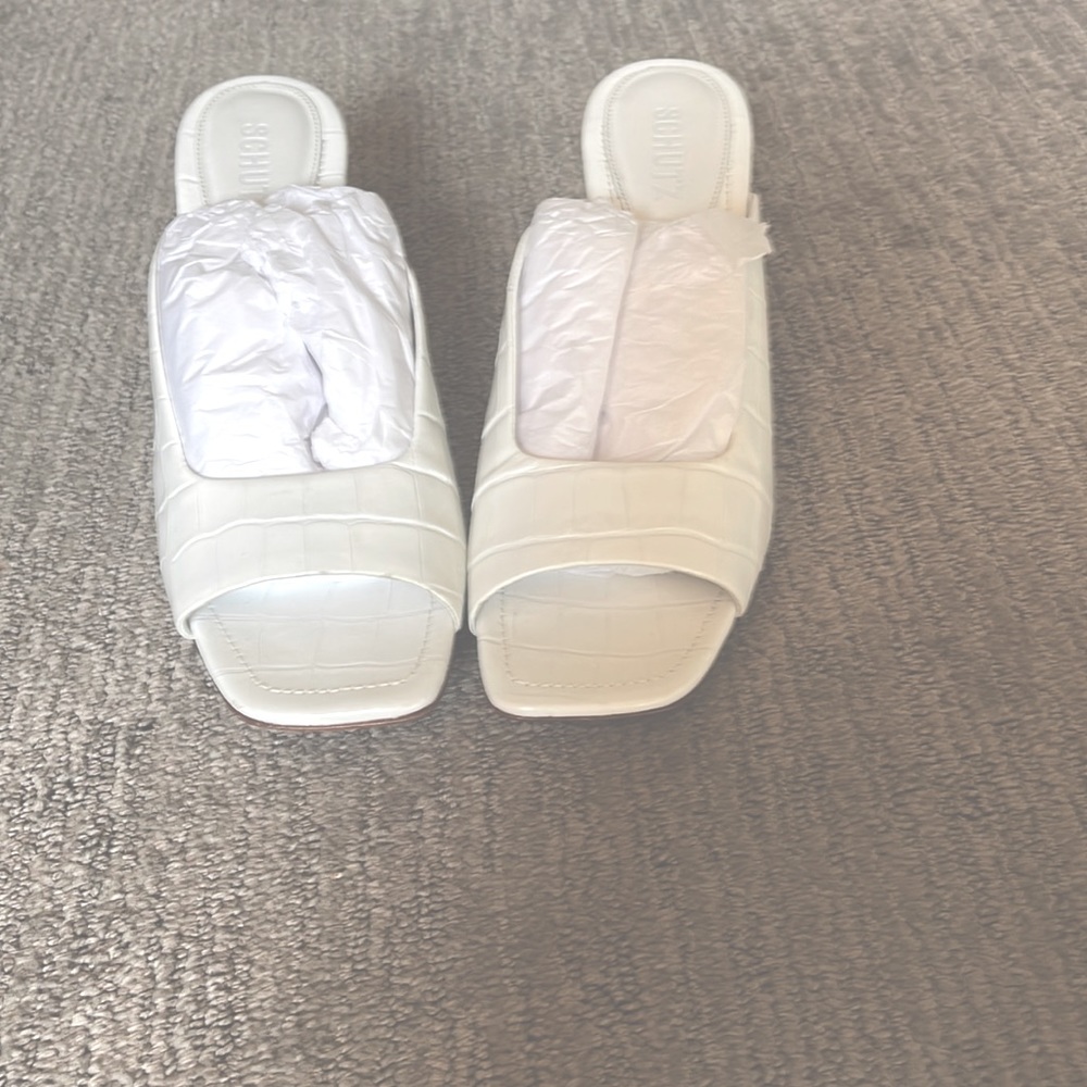 SCHUTZ Slides!